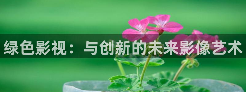 绿色影视：与创新的未来影像艺术