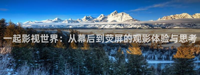 一起影视世界：从幕后到荧屏的观影体验与思考