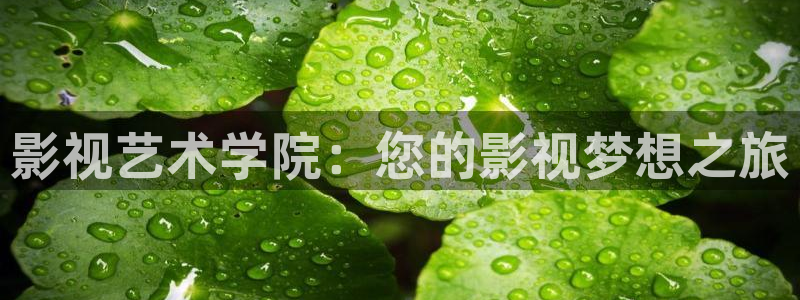 影视艺术学院：您的影视梦想之旅