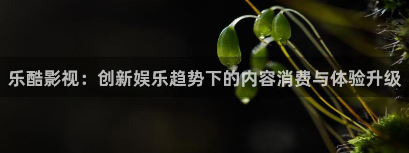乐酷影视：创新娱乐趋势下的内容消费与体验升级