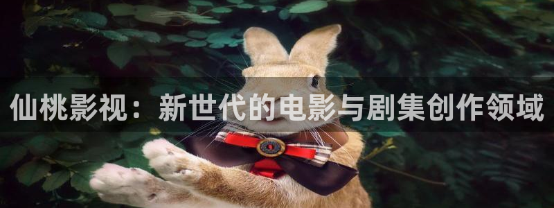 仙桃影视：新世代的电影与剧集创作领域