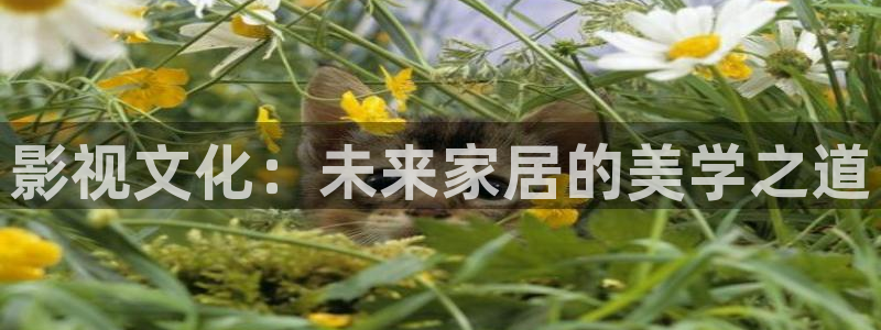 影视文化：未来家居的美学之道
