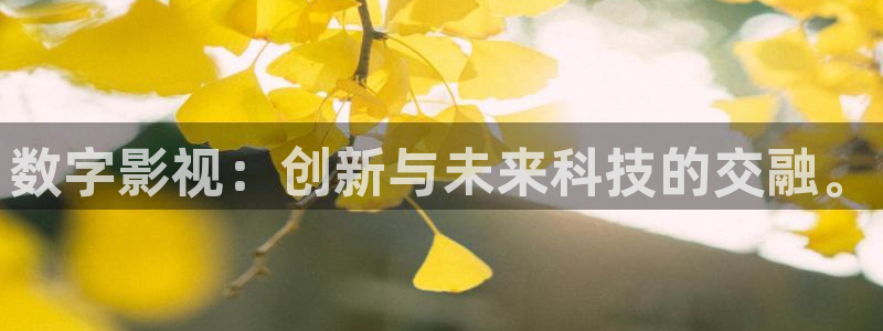 数字影视：创新与未来科技的交融。